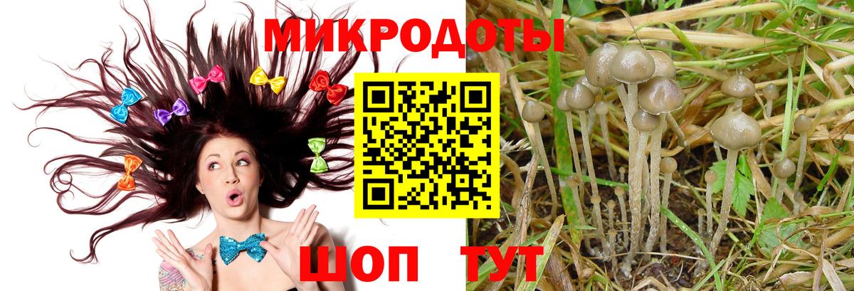 Галлюциногенные грибы Psilocybine cubensis Мытищи