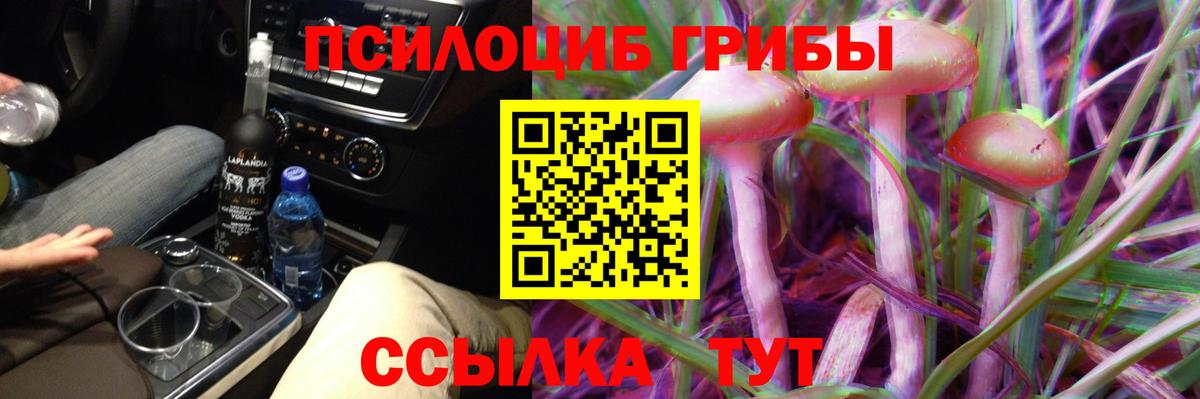 Псилоцибиновые грибы Psilocybe  Вход с VPN  Мытищи 
